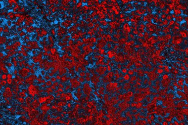 Soyut renk dokusu, grunge arkaplanı, boşluk duvar kağıdını kopyala