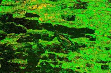 soyut yeşil doku arkaplanı, boşluk duvar kağıdını kopyala