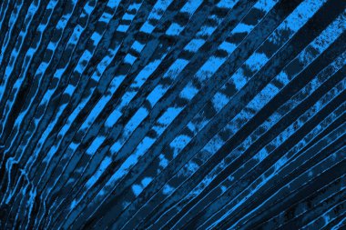 soyut doku, grunge arkaplan, boşluk duvar kağıdını kopyala     