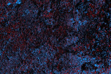 soyut mavi ve kırmızı doku, grunge arkaplan, boşluk duvar kağıdını kopyala