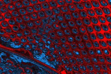 soyut mavi ve kırmızı doku, grunge arkaplan, boşluk duvar kağıdını kopyala