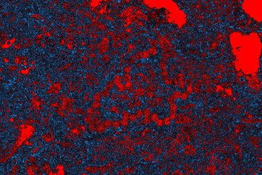 Soyut renk dokusu, grunge arkaplanı, boşluk duvar kağıdını kopyala