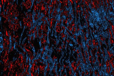 soyut mavi ve kırmızı doku, grunge arkaplan, boşluk duvar kağıdını kopyala