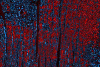 soyut mavi ve kırmızı doku, grunge arkaplan, boşluk duvar kağıdını kopyala