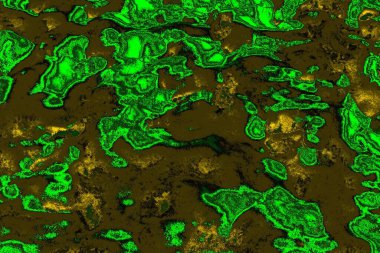 soyut yeşil doku arkaplanı, boşluk duvar kağıdını kopyala