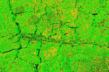 soyut yeşil doku arkaplanı, boşluk duvar kağıdını kopyala