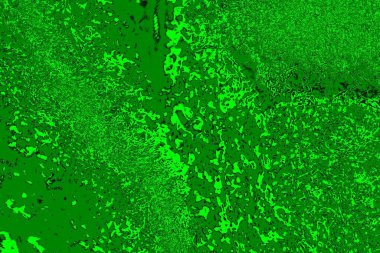 soyut yeşil doku, arkaplan, duvar kağıdını kopyala