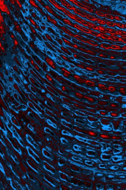 soyut doku, grunge arkaplan, boşluk duvar kağıdını kopyala     