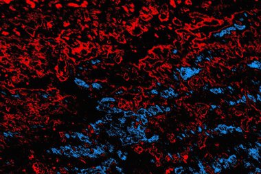 soyut mavi ve kırmızı doku, grunge arkaplan, boşluk duvar kağıdını kopyala