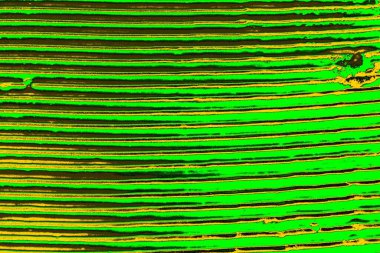 Soyut renk dokusu, grunge arkaplanı, boşluk duvar kağıdını kopyala