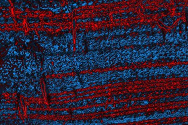 Soyut renk dokusu, grunge arkaplanı, boşluk duvar kağıdını kopyala