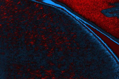 soyut mavi ve kırmızı doku, grunge arkaplan, boşluk duvar kağıdını kopyala