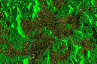 soyut yeşil doku arkaplanı, boşluk duvar kağıdını kopyala