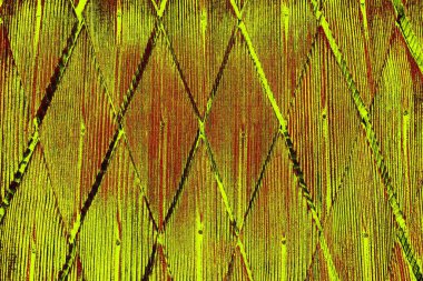  grunge arkaplanı, boşluk duvar kağıdını kopyala, soyut renkli doku arkaplanı