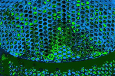 Boşluk duvar kağıdını, grunge arkaplanını, soyut renkli doku arkaplanını kopyala