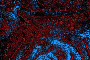 soyut mavi ve kırmızı doku, grunge arkaplan, boşluk duvar kağıdını kopyala