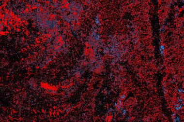 Renkli doku arkaplanı, boşluk duvar kağıdını kopyala