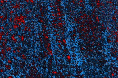 Soyut renk dokusu, grunge arkaplanı, boşluk duvar kağıdını kopyala