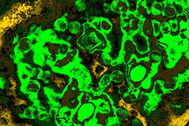 Soyut renk dokusu, grunge arkaplanı, boşluk duvar kağıdını kopyala