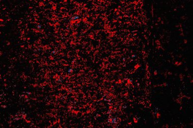 Soyut renk dokusu, grunge arkaplanı, boşluk duvar kağıdını kopyala