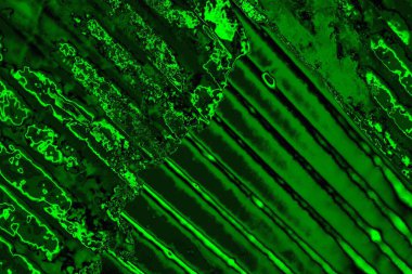 yeşil doku arkaplanı, boşluk duvar kağıdını kopyala