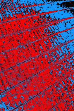 Renkli doku arkaplanı, boşluk duvar kağıdını kopyala