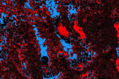 Renkli doku arkaplanı, boşluk duvar kağıdını kopyala