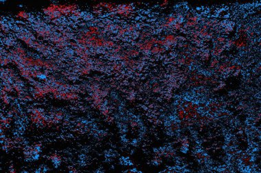 soyut mavi ve kırmızı doku, grunge arkaplan, boşluk duvar kağıdını kopyala