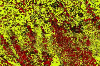 soyut renkli doku arkaplanı, uzay duvar kağıdını kopyala