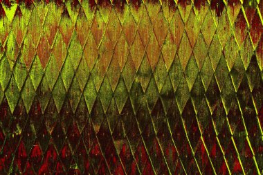  grunge arkaplanı, boşluk duvar kağıdını kopyala, soyut renkli doku arkaplanı