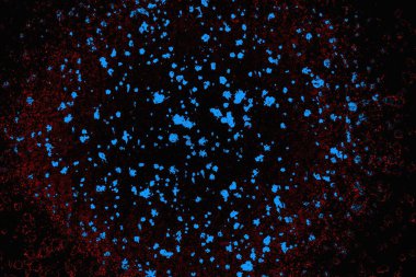 soyut mavi ve kırmızı doku, grunge arkaplan, boşluk duvar kağıdını kopyala