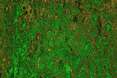 Soyut renk dokusu, grunge arkaplanı, boşluk duvar kağıdını kopyala