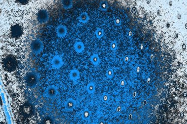 Soyut renk dokusu, grunge arkaplanı, boşluk duvar kağıdını kopyala