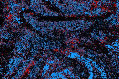 soyut mavi ve kırmızı doku, grunge arkaplan, boşluk duvar kağıdını kopyala