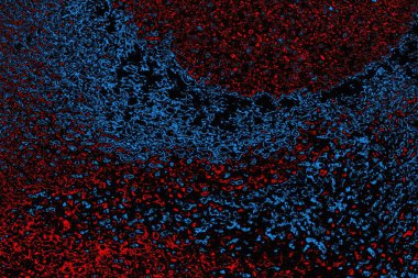 soyut mavi ve kırmızı doku, grunge arkaplan, boşluk duvar kağıdını kopyala