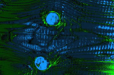 Boşluk duvar kağıdını, grunge arkaplanını, soyut renkli doku arkaplanını kopyala