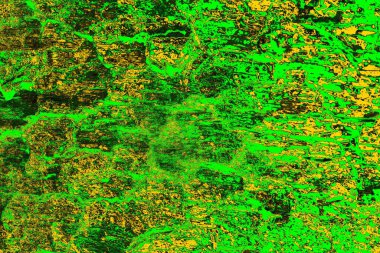 soyut yeşil doku arkaplanı, boşluk duvar kağıdını kopyala