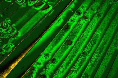 soyut yeşil doku arkaplanı, boşluk duvar kağıdını kopyala