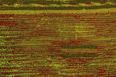 Boşluk duvar kağıdını, grunge arkaplanını, soyut renkli doku arkaplanını kopyala