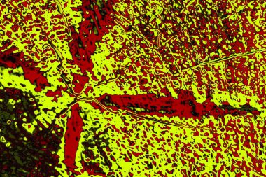  grunge arkaplanı, boşluk duvar kağıdını kopyala, soyut renkli doku arkaplanı