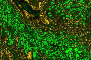 soyut yeşil doku arkaplanı, boşluk duvar kağıdını kopyala