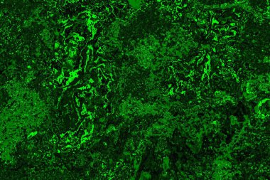 soyut yeşil doku arkaplanı, boşluk duvar kağıdını kopyala