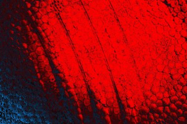 soyut doku, grunge arkaplan, boşluk duvar kağıdını kopyala