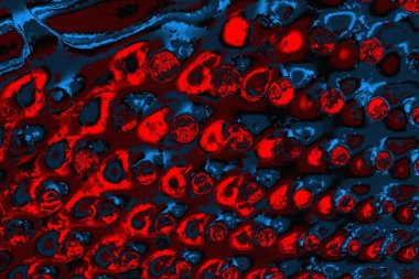 soyut mavi ve kırmızı doku, grunge arkaplan, boşluk duvar kağıdını kopyala