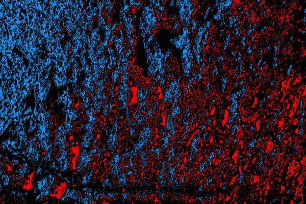 추상적 파란색과 빨간색 Grunge — 스톡 사진
