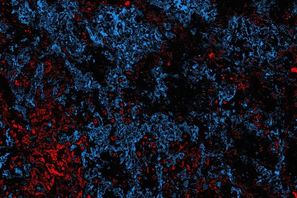 soyut mavi ve kırmızı doku, grunge arkaplan, boşluk duvar kağıdını kopyala