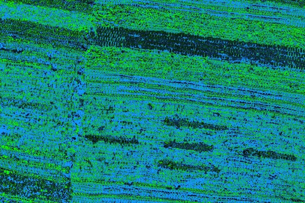 Boşluk duvar kağıdını, grunge arkaplanını, soyut renkli doku arkaplanını kopyala