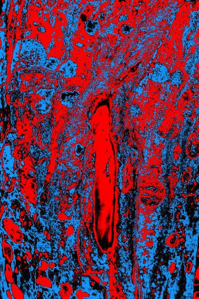 要約明るい赤青テクスチャ背景 コピースペース壁紙 — ストック写真