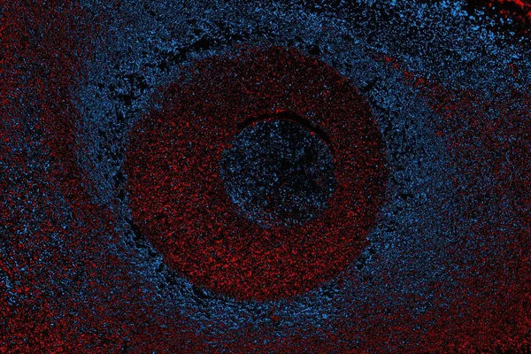 soyut mavi ve kırmızı doku, grunge arkaplan, boşluk duvar kağıdını kopyala