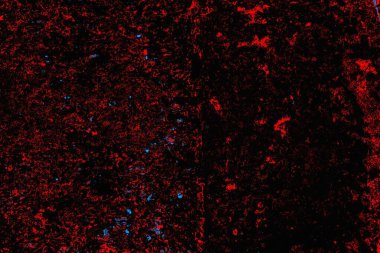 Soyut renk dokusu, grunge arkaplanı, boşluk duvar kağıdını kopyala